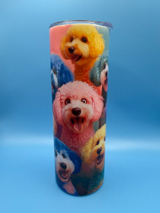 20oz Metal Drinks Tumbler Colourful Cockapoo